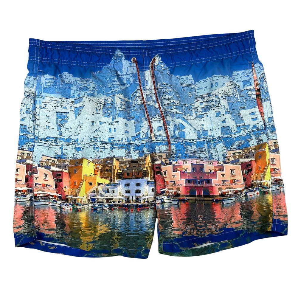 Bugatchi Mens Blue Coastal Village‎ Graphic Print Swim Trunks Mesh Lined Large